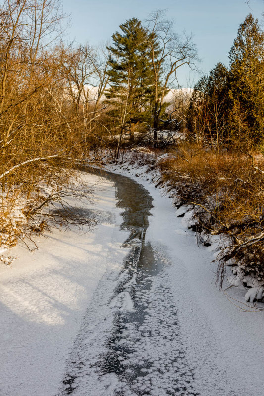 _MG_4512.JPG