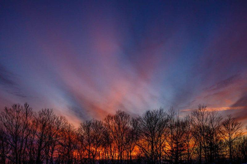 _MG_4523.JPG