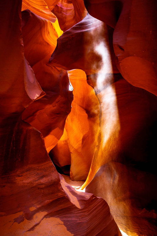 _MG_6937.JPG