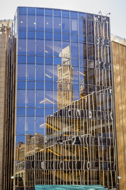 _MG_5105.JPG