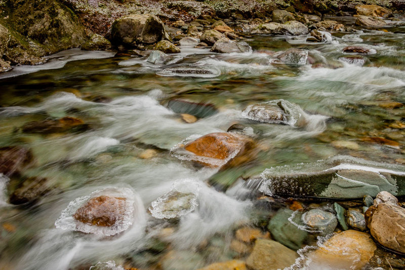 _MG_1237.JPG