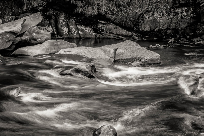 _MG_5626.JPG