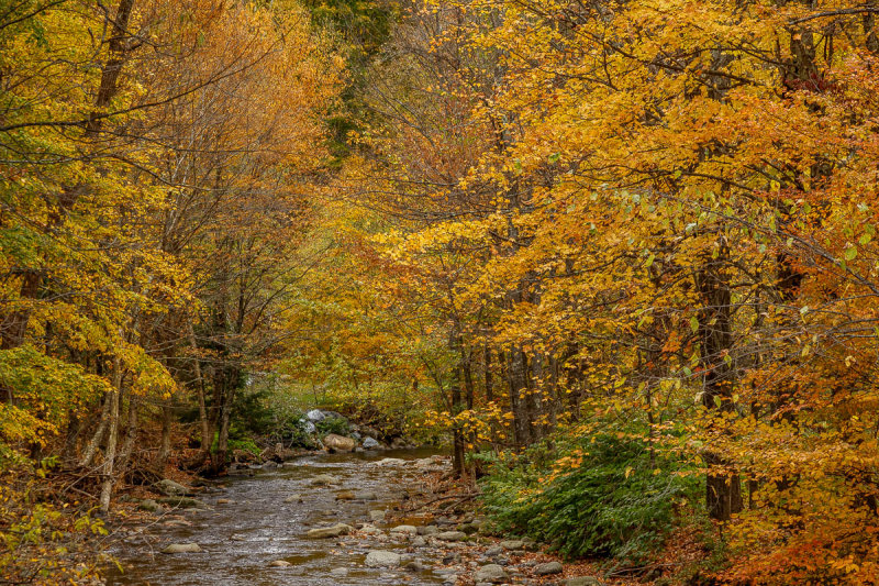 _MG_5803.JPG