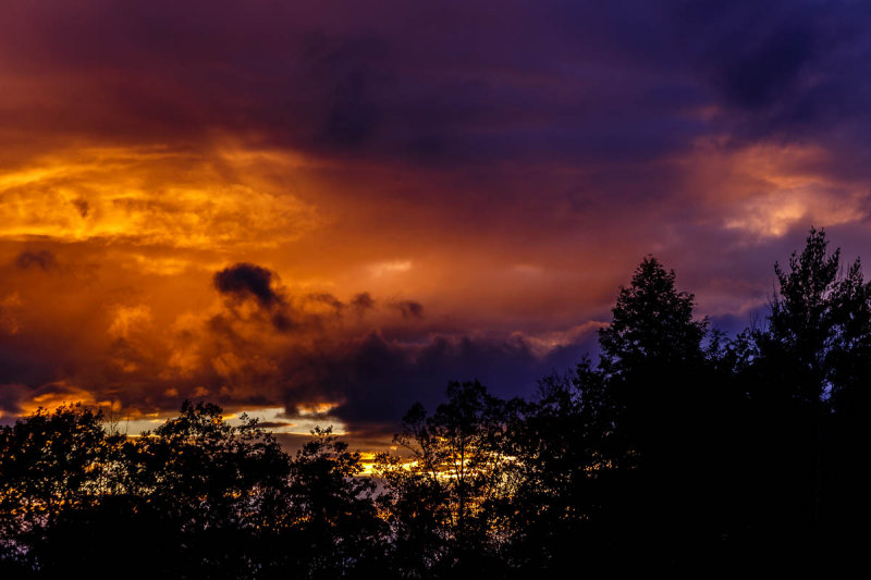 _MG_5831.JPG
