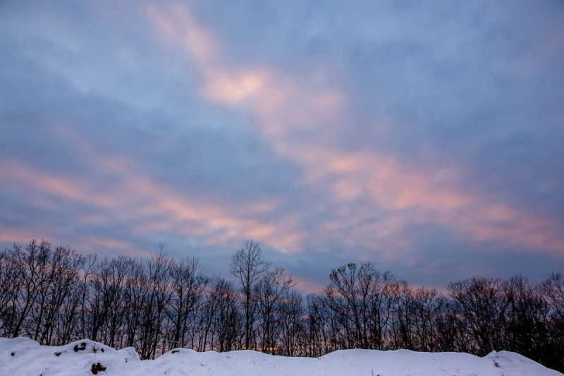 _MG_6012.JPG