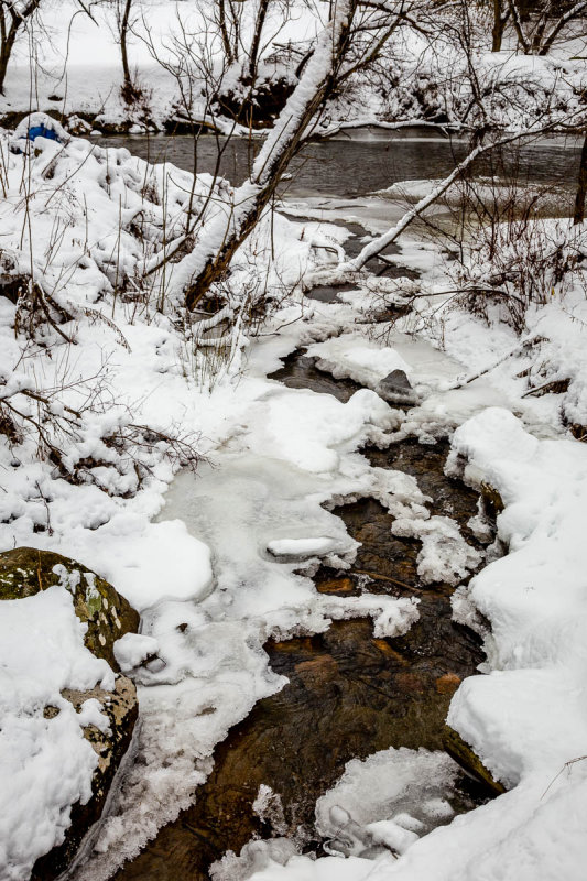_MG_6085.JPG