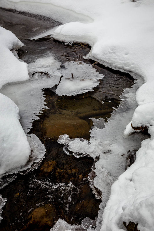 _MG_6094.JPG