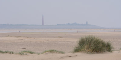 Texel