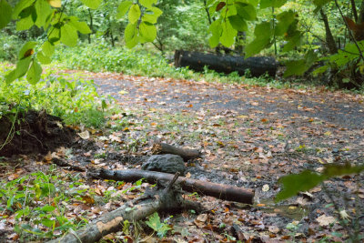 Oktober 2013, the trunk was moved to the other side of the path, the tools used were still on its place