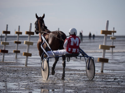 Horse-racing in tideland