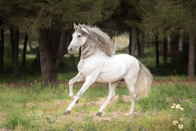 Fotos Anke Schirocki, Fotoreise G.Boiselle, Andalusien