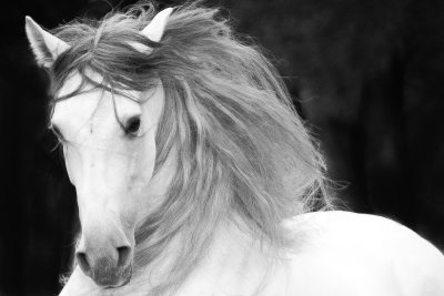 Fotos Anke Schirocki, Fotoreise G.Boiselle, Andalusien