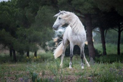 Fotos Anke Schirocki, Fotoreise G.Boiselle, Andalusien