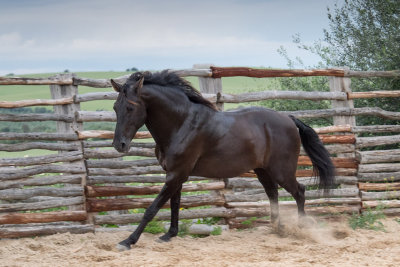 Fotos Anke Schirocki, Fotoreise G.Boiselle, Andalusien