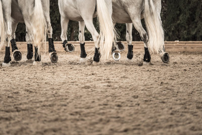 Fotos Anke Schirocki, Fotoreise G.Boiselle, Andalusien