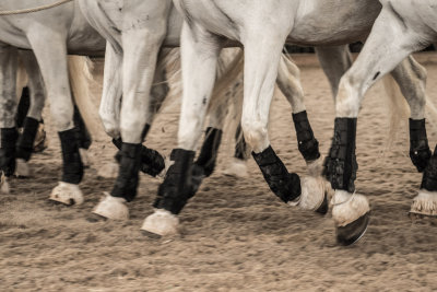 Fotos Anke Schirocki, Fotoreise G.Boiselle, Andalusien