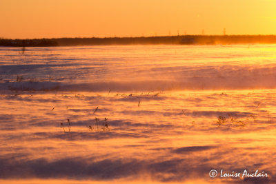 Coucher de soleil - Sunset