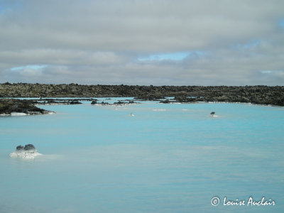 Blue Lagoon, Islande, sland