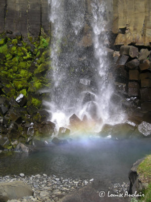 Cascade de Svartifoss entoure dorgues basaltiques, 