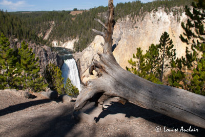 Lower Falls