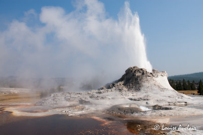 Castle Geyser, in the Upper Geyser Basin