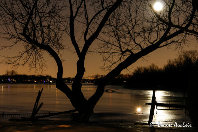 Ombre avec pleine lune