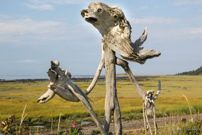 Sculpture sur la plage