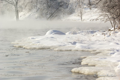 Matin de brume sur la rivire des Prairies