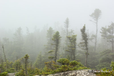 Sommet du sentier du Parc ctier Kiskotuk