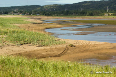 Côte-Nord 2016