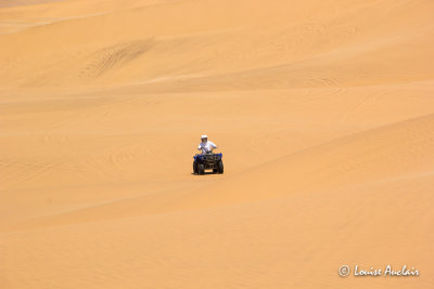 Balade dans les dunes