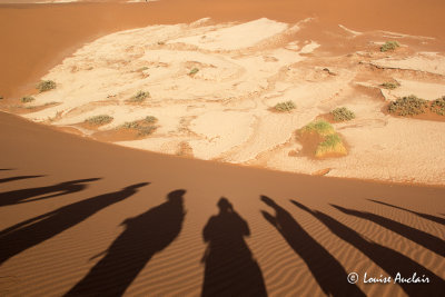 Dead Vlei en contrebas