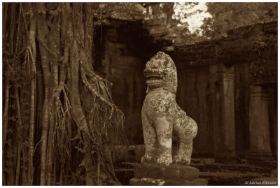 Stone Temple Lion 1