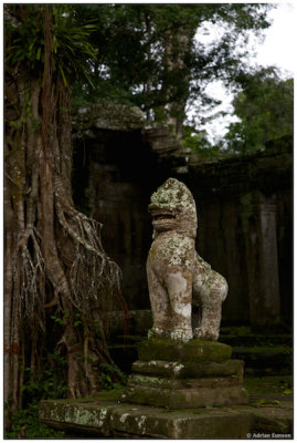 Stone Temple Lion 2
