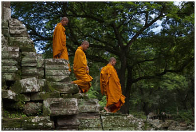 Monks Descending Stairs 2