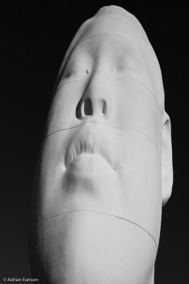 Echo
