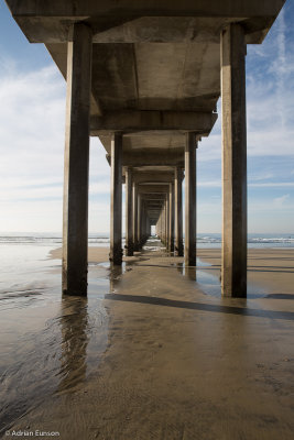 Under Scripp's Pier
