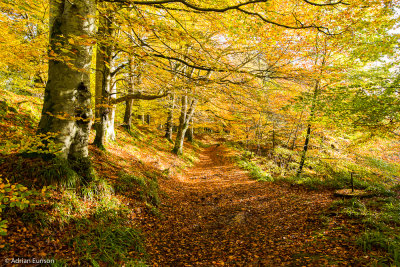 Scotland in Autumn