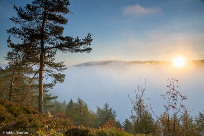 Sunrise at Drummond Hill