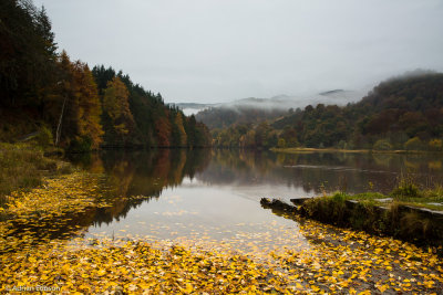 Loch Faskally Misty Reflections