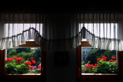 29.07.2013