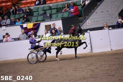 68 Roadster Pony Jr Exhib