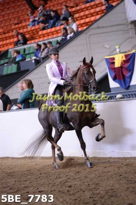 116 3 Gaited Show Pleasure Jr. Exhib Champ