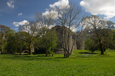 _MG_0501.jpg