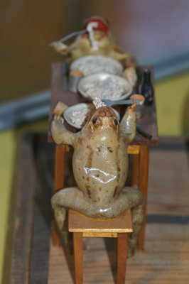 Le musée de la grenouille