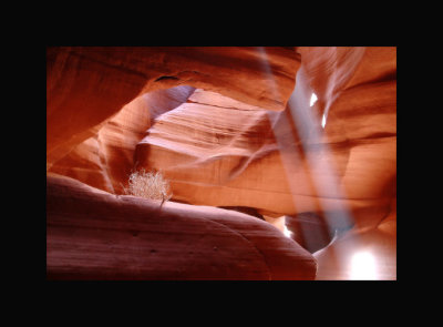 Antelope Canyon