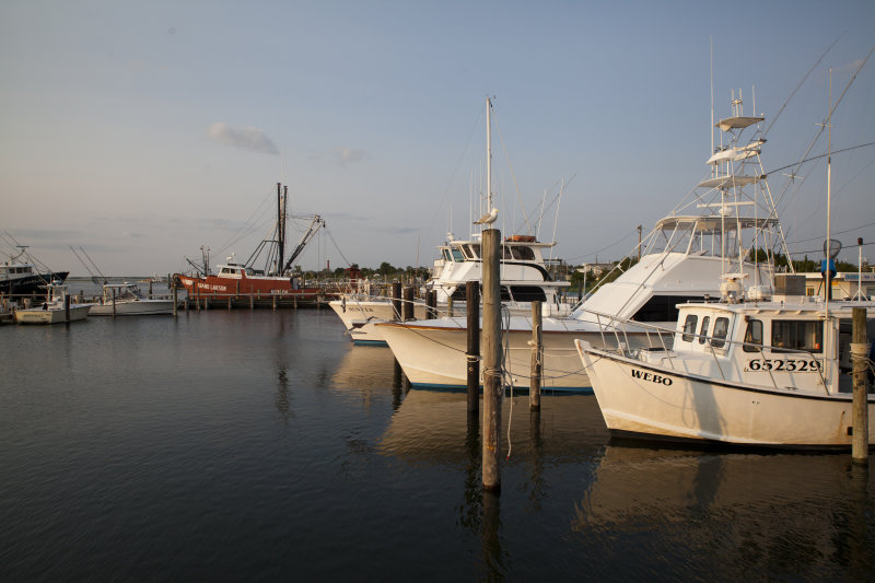 _MG_3269.JPG