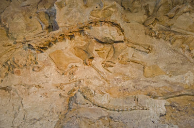 55 UT Dinosaur NM Quarry Visitor Center 5.jpg