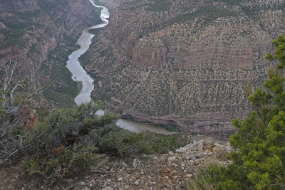63 CO Dinosaur NM Harper Corner Rd 5 Green River.jpg