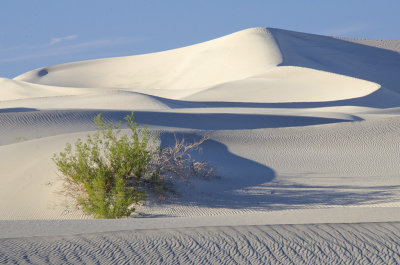CA Death Valley NP 01 Dunes.jpg